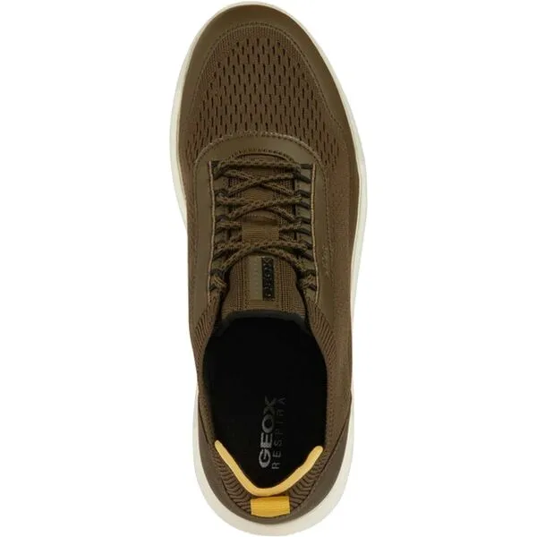 Olive men's sneakers Geox Spherica - Men