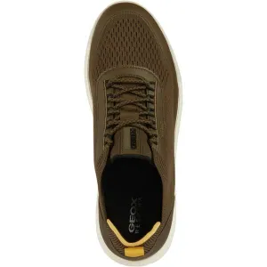 Olive men's sneakers Geox Spherica - Men