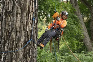 Horolezecké lano Husqvarna Ascend 11,0 mm