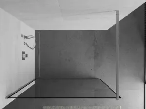 MEXEN/S - KIOTO Sprchová zástena WALK-IN 100x200 cm 8 mm, chróm, čierny profil 800-100-101-01-70