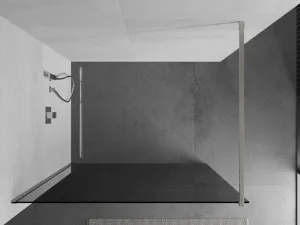 MEXEN/S - Kioto Sprchová zástena WALK-IN 120 x 200, grafit 8 mm, nikel kefovaná 800-120-101-97-40
