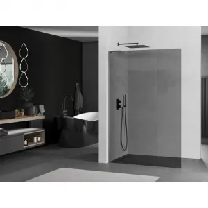 MEXEN/S - Kioto L Sprchová zástena WALK-IN 100 x 200, grafit, grafit kartáčovaná 800-100-103-66-40