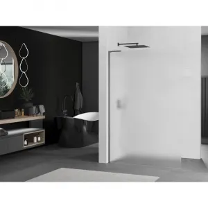 MEXEN/S - Kioto L Sprchová zástena WALK-IN 120 x 200, dekor, grafit kartáčovaná 800-120-103-66-30