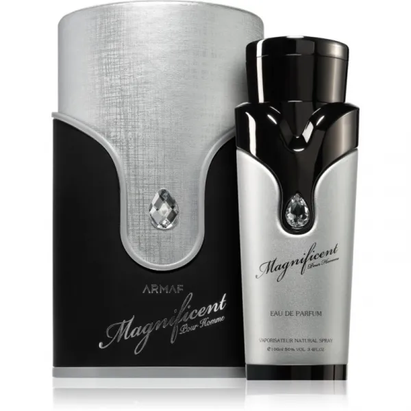 Armaf Magnificent Pour Homme parfumovaná voda pre mužov 100 ml