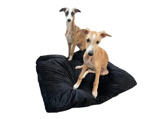 Mäkký vankúš pre psa ROYAL PET 75x60 cm, čierny