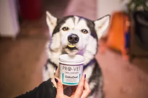 PRO-VET Orthodent 135 g