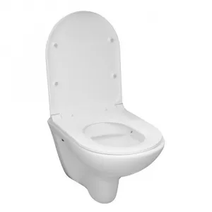 Mereo WC závesné, RIMLESS, 530x355x360, keramické, vr. sedátka CSS123 VSD81S