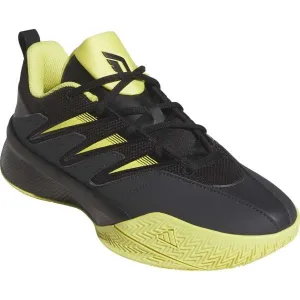 adidas DAME CERTIFIED Pánska basketbalová obuv, čierna, veľkosť 42