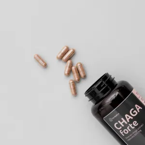 Čaga sibírska FORTE - 60 vegánskych kapsúl (600mg/ kapsula) - Herbatica