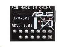 ASUS TPM-SPI