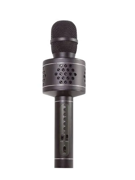 Teddies Mikrofón karaoke Bluetooth, čierna, na batérie, s USB káblom