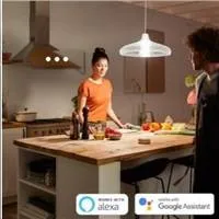 PHILIPS Hue White žárovka 15.5W E27 A67 DIM