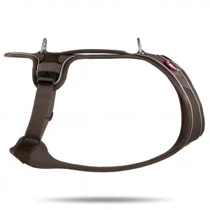 CURLI Postroj pre psov Belka Comfort Brown XL, 30-45kg