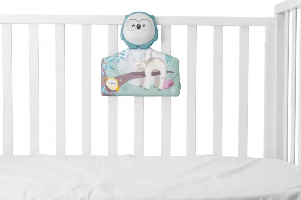 CHICCO Deka hracia Sovička 2v1 80x80 cm, 0m+