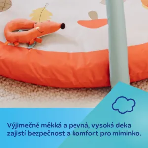 CANPOL BABIES Deka edukatívna hracia FOX