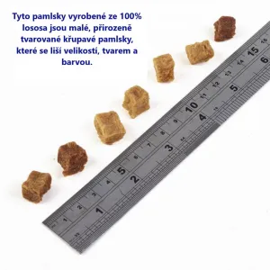 FISH4DOGS Maškrty pre psov TRAINING losos 80 g