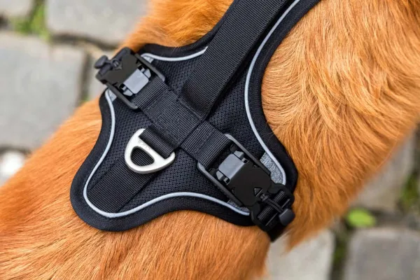 CURLI Postroj pre psov s magnetom Belka Comfort Black M, 20-30kg