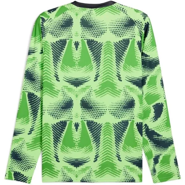 Puma TEAMTARGET GL LS JERSEY Pánsky brankársky dres, zelená, veľkosť