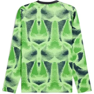 Puma TEAMTARGET GL LS JERSEY Pánsky brankársky dres, zelená, veľkosť