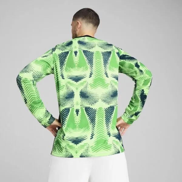 Puma TEAMTARGET GL LS JERSEY Pánsky brankársky dres, zelená, veľkosť