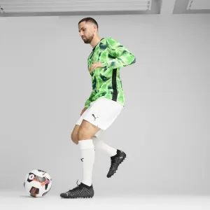 Puma TEAMTARGET GL LS JERSEY Pánsky brankársky dres, zelená, veľkosť