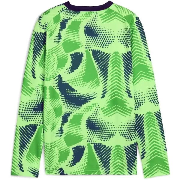 Puma TEAMTARGET GL LS JERSEY JR Detský brankársky dres, zelená, veľkosť