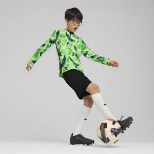 Puma TEAMTARGET GL LS JERSEY JR Detský brankársky dres, zelená, veľkosť