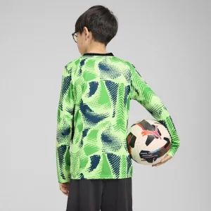 Puma TEAMTARGET GL LS JERSEY JR Detský brankársky dres, zelená, veľkosť
