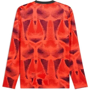 Puma TEAMTARGET GL LS JERSEY Pánsky brankársky dres, červená, veľkosť