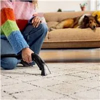 Kärcher SE 3 Compact Floor tepovač