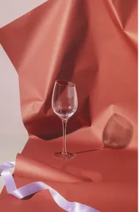 Pohár na víno Riesling, číry, Eva Solo