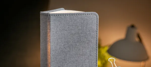 Rozkladacie svetlo "Smart Book" mini, sivá látka - Gingko