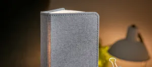 Rozkladacie svetlo "Smart Book" mini, sivá látka - Gingko