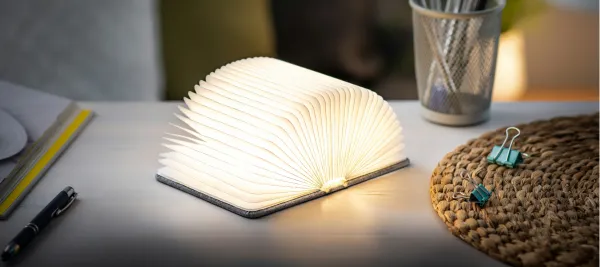 Rozkladacie svetlo "Smart Book" mini, sivá látka - Gingko