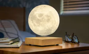 Lampa "Moon", jaseň - Gingko