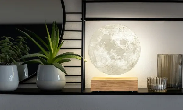 Lampa "Moon", jaseň - Gingko
