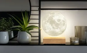 Lampa "Moon", jaseň - Gingko