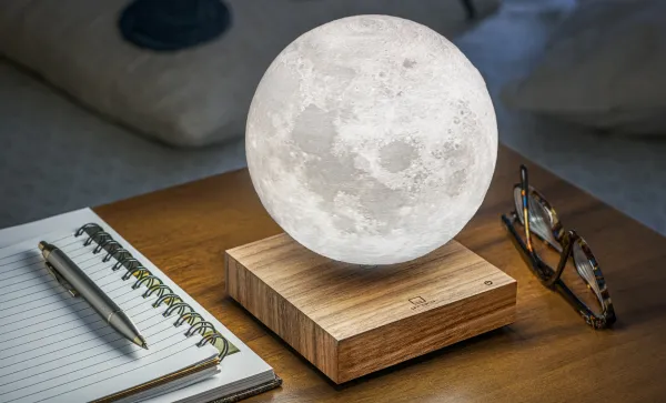 Lampa "Moon", orech - Gingko