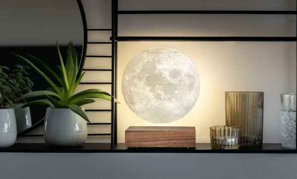 Lampa "Moon", orech - Gingko