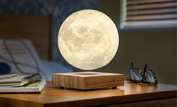 Lampa "Moon", orech - Gingko