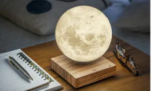 Lampa "Moon", orech - Gingko