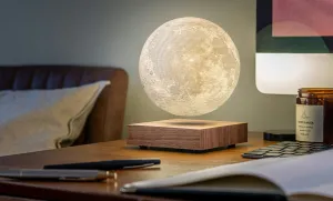 Lampa "Moon", orech - Gingko