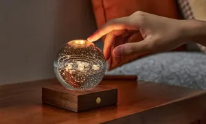 Stolná lampička s 3D laserovaným motívom, viac variantov - Gingko Motiv: delfíni