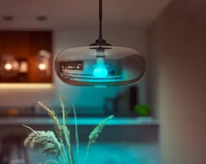 PHILIPS Hue White and Color Ambiance 15W 1600 E27