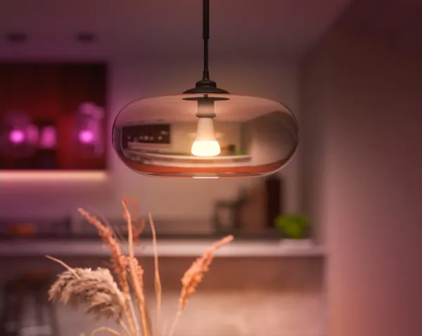 PHILIPS Hue White and Color Ambiance 15W 1600 E27