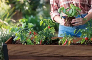 KETER Záhradný kvetináč DECO AGGRANDIZED