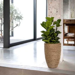 Pottery Pots Kvetináč Ben, farba prírodná slamená, viac veľkostí - PotteryPots Velikost: L - v. 55 cm, ⌀ 40 cm