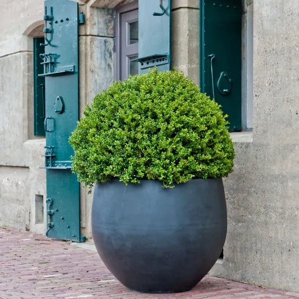 Pottery Pots Kvetináč Jumbo Orb, farba sivá, viac veľkostí - PotteryPots Velikost: M - v. 93 cm, ⌀ 110 cm