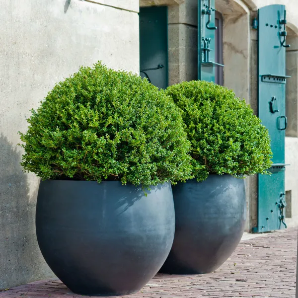 Pottery Pots Kvetináč Jumbo Orb, farba sivá, viac veľkostí - PotteryPots Velikost: M - v. 93 cm, ⌀ 110 cm
