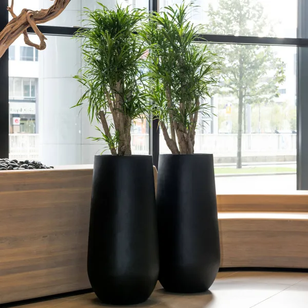 Pottery Pots Kvetináč Nax, farba čierna, viac veľkostí - PotteryPots Velikost: M - v. 70 cm, ⌀ 35 cm